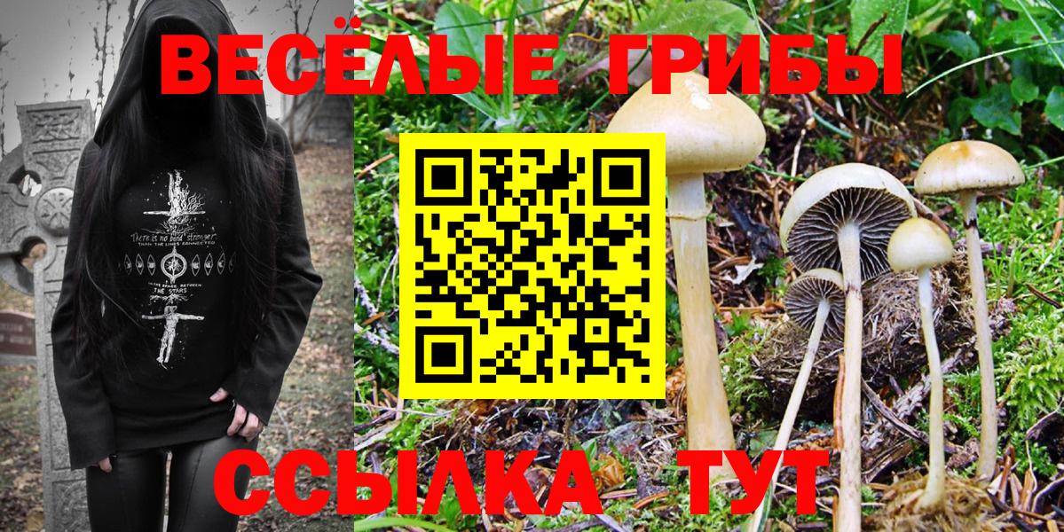 Петрозаводск  магазин продажи наркотиков  Вход с VPN  Галлюциногенные грибы GOLDEN TEACHER 