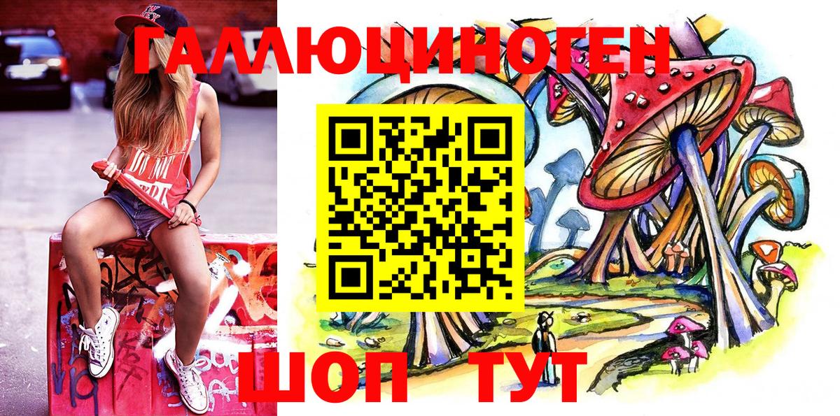 Галлюциногенные грибы Psilocybe Петрозаводск